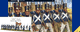 Napoleon's Middle Imperial Guard VX0016